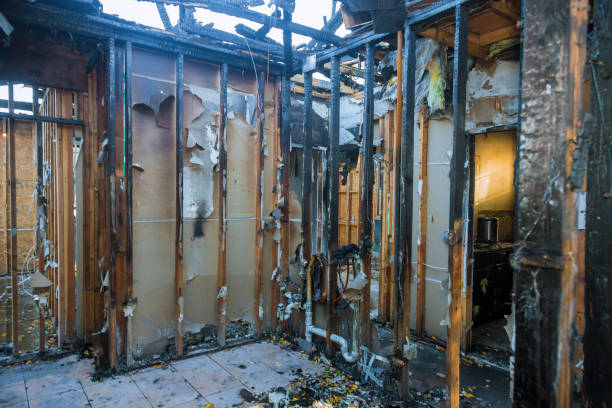 Professional Odor Removal technician working in Mountain View, HI